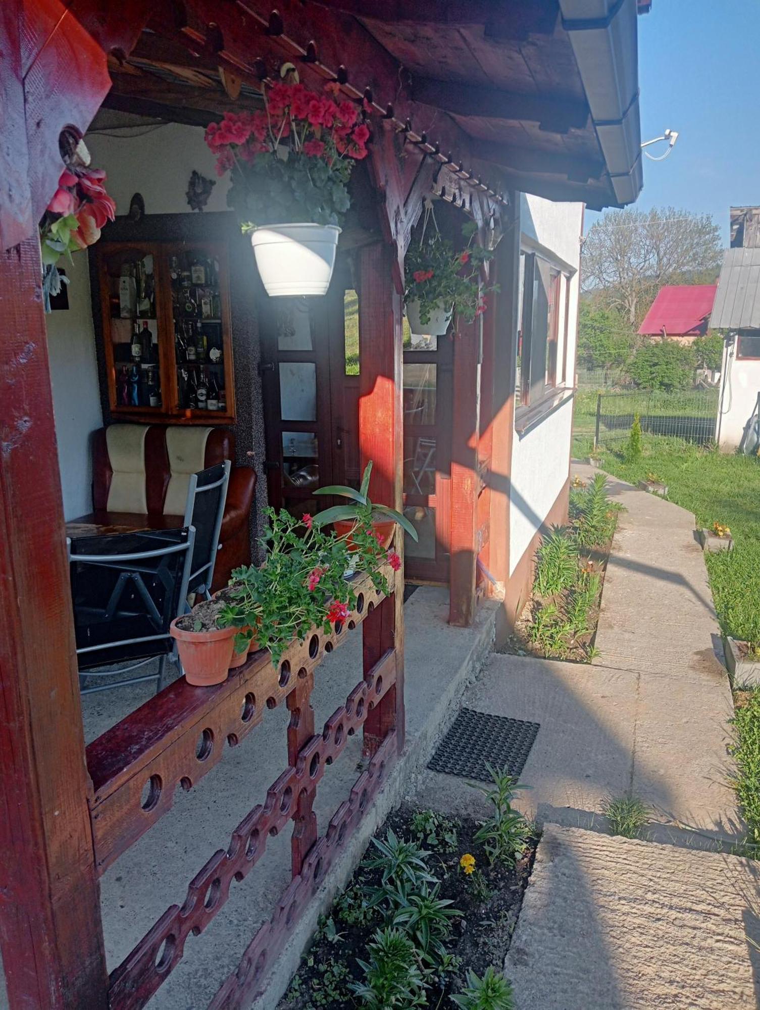 Maison d'hôtes Casa Vasy à Vatra Dornei Extérieur photo